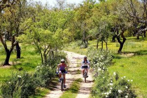 Biciclete Veloteca