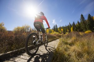 Biciclete Veloteca