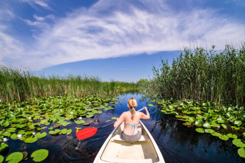 Vacanță în Delta Dunării: Ce trebuie să știi ca să te bucuri la maximum