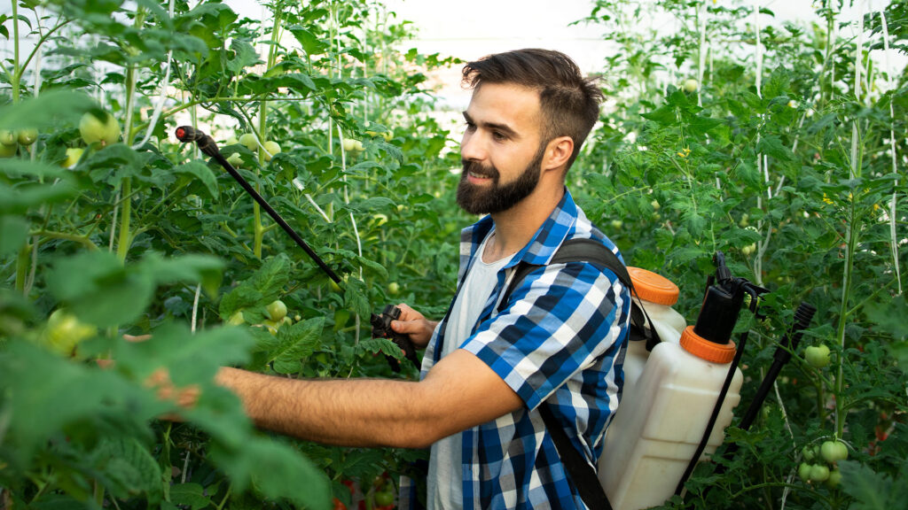 Aplicarea Corecta╠å A Tratamentelor Fitosanitare